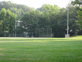 the main baseball diamond