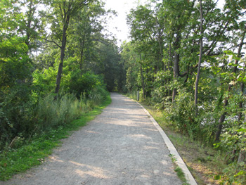 more of the gravel path