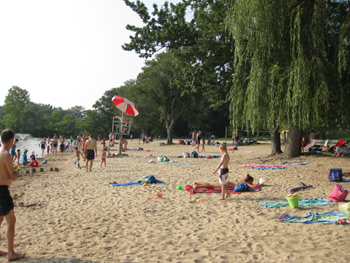 another view of the beach