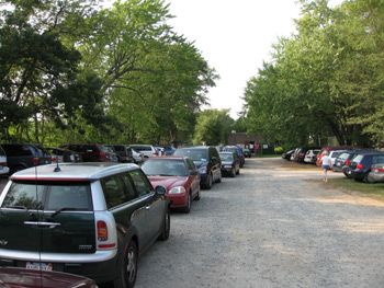cars in the parking lot
