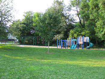 the swing set and play scape at Rindge Park