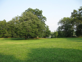 open space at Rindge Field